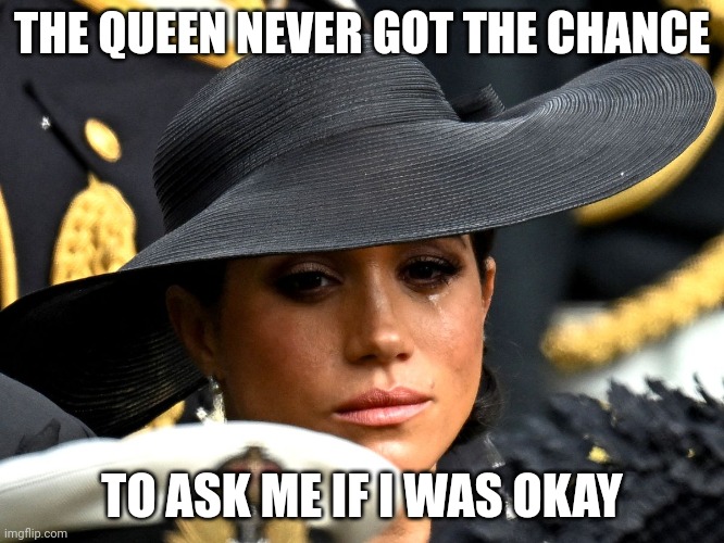 Markle world problems | THE QUEEN NEVER GOT THE CHANCE; TO ASK ME IF I WAS OKAY | image tagged in meghan markle,british royals,royal family,narcissist | made w/ Imgflip meme maker