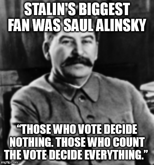 If Tiktok counts the votes as presently arranged... | STALIN'S BIGGEST FAN WAS SAUL ALINSKY; “THOSE WHO VOTE DECIDE NOTHING. THOSE WHO COUNT THE VOTE DECIDE EVERYTHING.” | image tagged in voter fraud,election 2020 | made w/ Imgflip meme maker