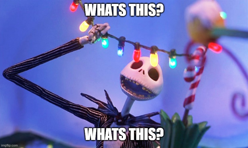 Nightmare before Christmas | WHATS THIS? WHATS THIS? | image tagged in nightmare before christmas | made w/ Imgflip meme maker