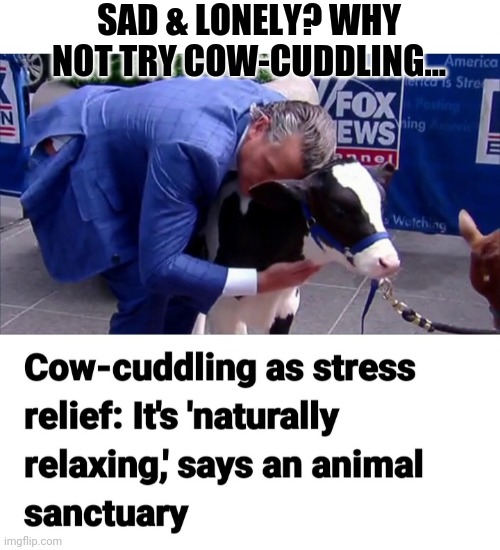 SAD & LONELY? WHY NOT TRY COW-CUDDLING... | image tagged in stress,hang in there | made w/ Imgflip meme maker