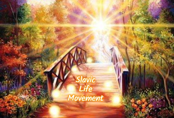 Rainbow Bridge | Slavic Life Movement | image tagged in rainbow bridge,slavic life movement | made w/ Imgflip meme maker
