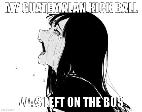 NOOOOOOOOOOOOOOOOOOOOOOOOO | MY GUATEMALAN KICK BALL; WAS LEFT ON THE BUS | image tagged in l bozo | made w/ Imgflip meme maker