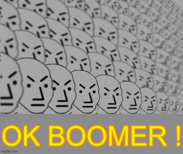 Everytime I criticize something mainstream made nowdays | OK BOOMER ! | image tagged in npcs,start the bodycount,imagine getting called boomer from actually boomers,lol | made w/ Imgflip meme maker
