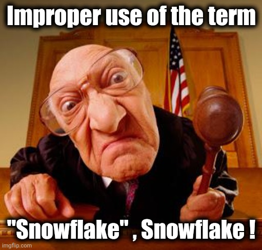 Mean Judge | Improper use of the term "Snowflake" , Snowflake ! | image tagged in mean judge | made w/ Imgflip meme maker