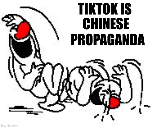 LOL Hysterically | TIKTOK IS         
CHINESE PROPAGANDA | image tagged in lol hysterically | made w/ Imgflip meme maker