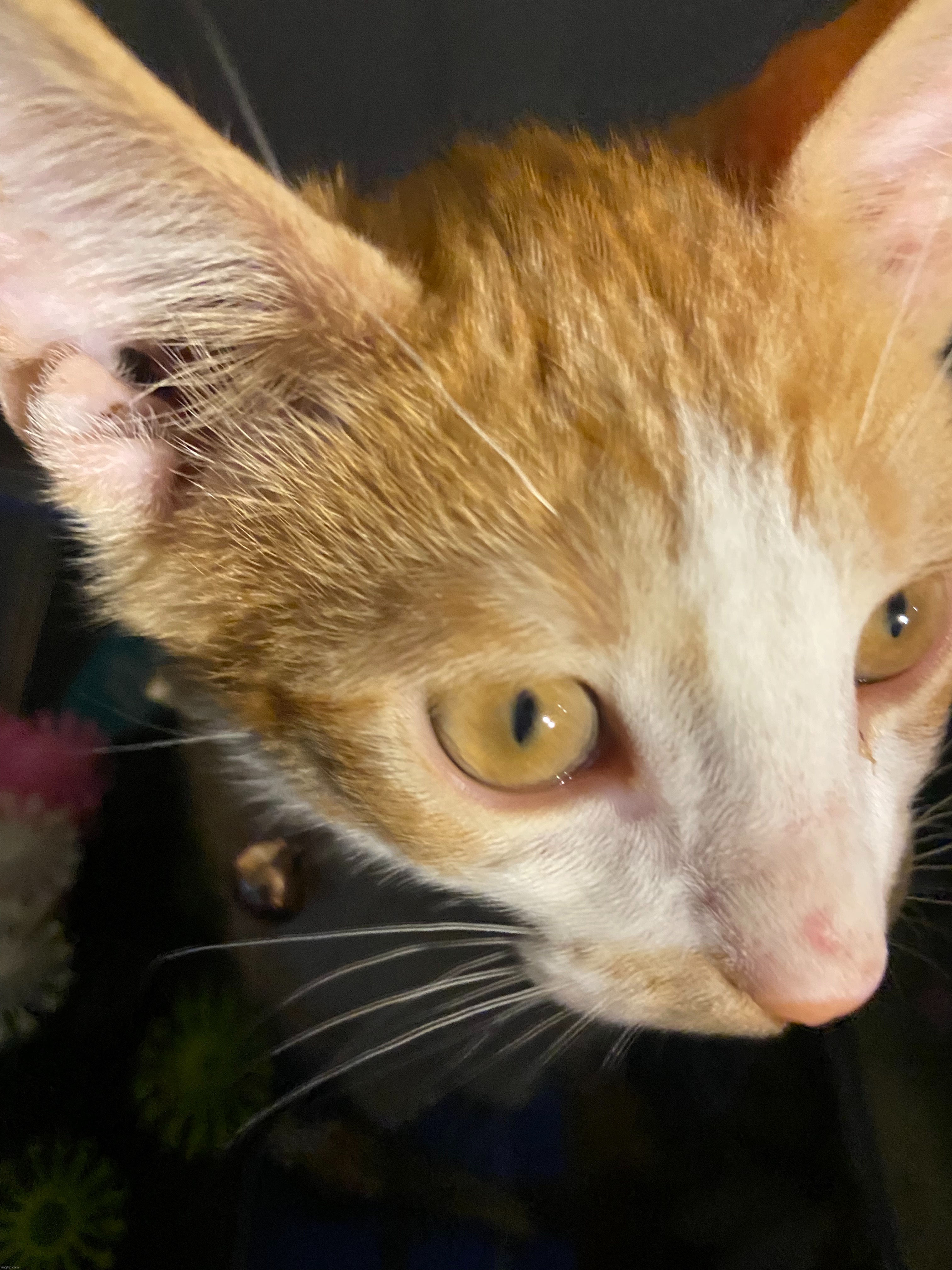 He knows your search history | made w/ Imgflip meme maker