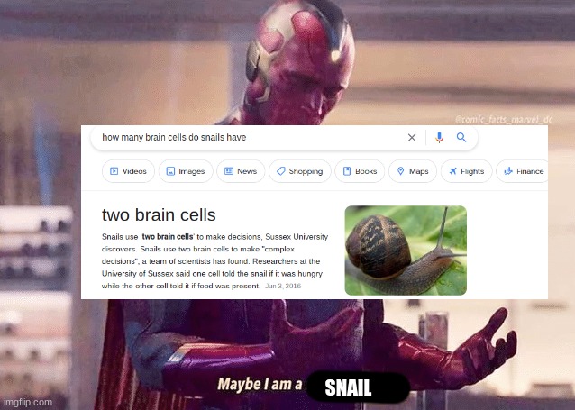 maybe i am a snail |  SNAIL | image tagged in maybe i am a monster blank,snail,brain cells | made w/ Imgflip meme maker