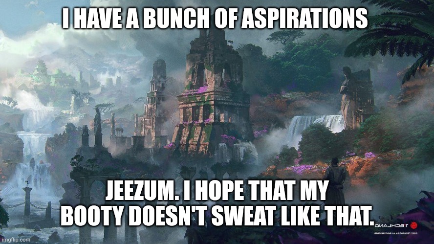 Butt sweating aspirations | I HAVE A BUNCH OF ASPIRATIONS; JEEZUM. I HOPE THAT MY BOOTY DOESN'T SWEAT LIKE THAT. | image tagged in goals,sweat | made w/ Imgflip meme maker