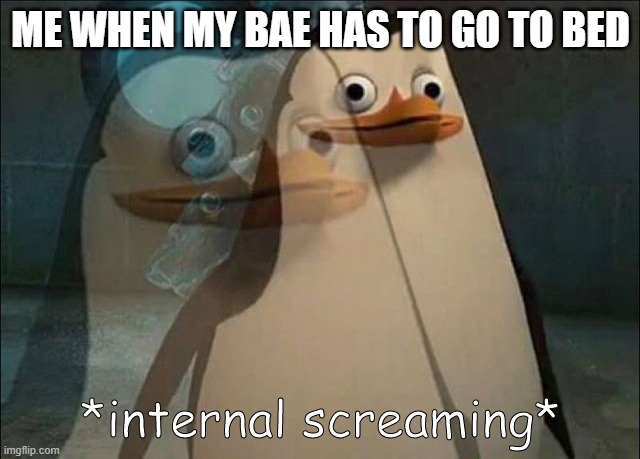 Private Internal Screaming | ME WHEN MY BAE HAS TO GO TO BED | image tagged in private internal screaming,reationships | made w/ Imgflip meme maker