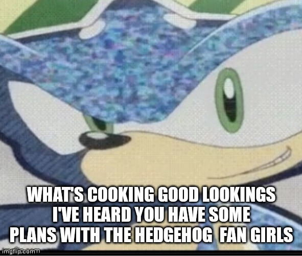 Sonic riders sonic | WHAT'S COOKING GOOD LOOKINGS I'VE HEARD YOU HAVE SOME PLANS WITH THE HEDGEHOG  FAN GIRLS | image tagged in sonic riders sonic,funny memes | made w/ Imgflip meme maker