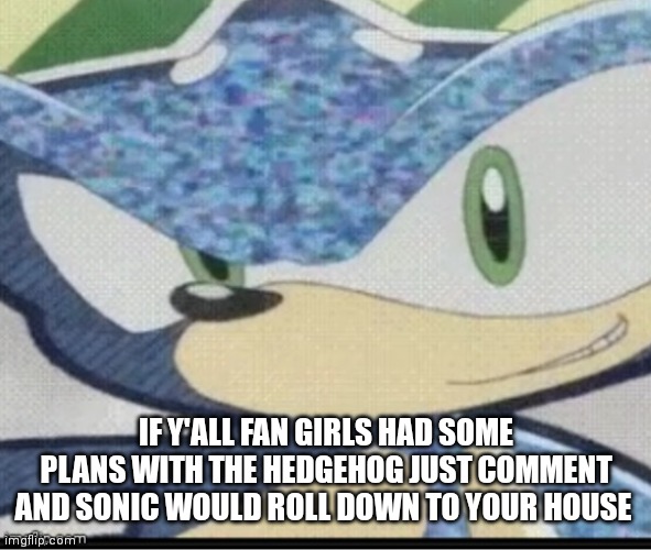 Sonic has some special plans | IF Y'ALL FAN GIRLS HAD SOME PLANS WITH THE HEDGEHOG JUST COMMENT AND SONIC WOULD ROLL DOWN TO YOUR HOUSE | image tagged in sonic riders sonic,funny memes | made w/ Imgflip meme maker