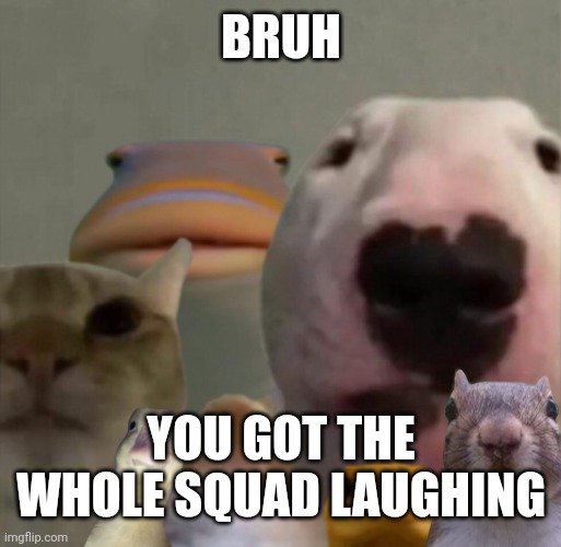 The council remastered | BRUH YOU GOT THE WHOLE SQUAD LAUGHING | image tagged in the council remastered | made w/ Imgflip meme maker