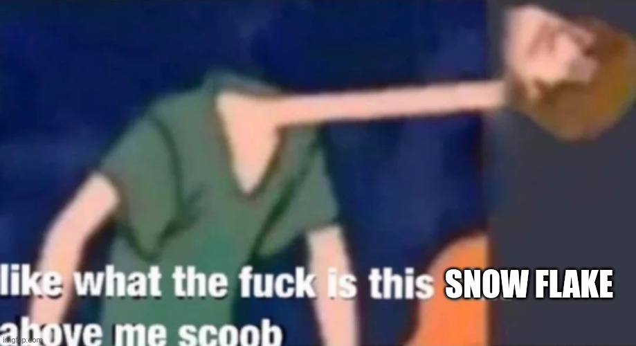 Like what the f*ck is this sh*t above me scoob | SNOW FLAKE | image tagged in like what the f ck is this sh t above me scoob | made w/ Imgflip meme maker