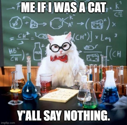 Chemistry Cat Meme | ME IF I WAS A CAT; Y'ALL SAY NOTHING. | image tagged in memes,chemistry cat | made w/ Imgflip meme maker