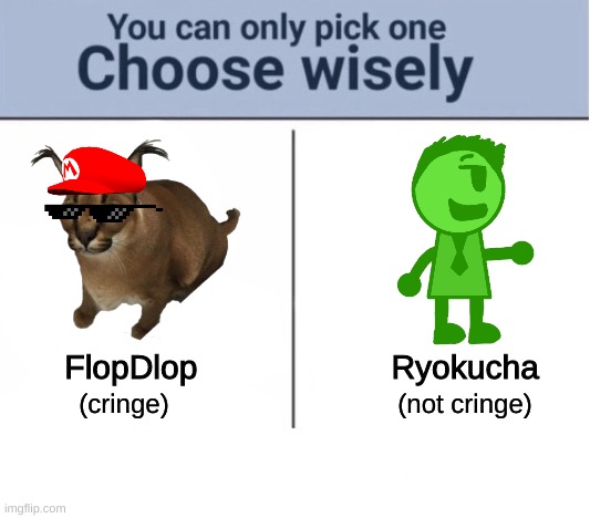 i swear if you pick the cringe one ill sell your organs/body parts on ebay | FlopDlop                     Ryokucha; (cringe)                               (not cringe) | image tagged in memes,funny,choose wisely,flopdlop,ryokucha,oc | made w/ Imgflip meme maker
