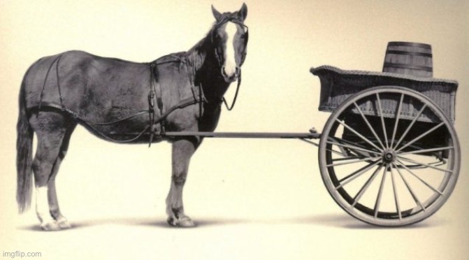 the cart before the horse | image tagged in the cart before the horse | made w/ Imgflip meme maker