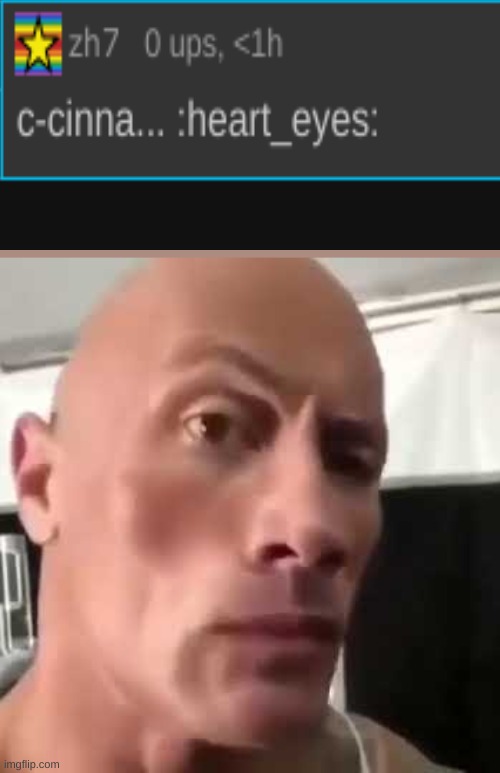 The Rock Eyebrows | image tagged in the rock eyebrows | made w/ Imgflip meme maker