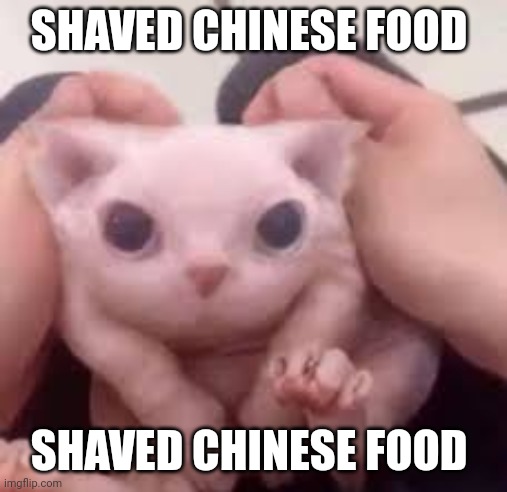 Scrunched Bingus | SHAVED CHINESE FOOD; SHAVED CHINESE FOOD | image tagged in scrunched bingus | made w/ Imgflip meme maker