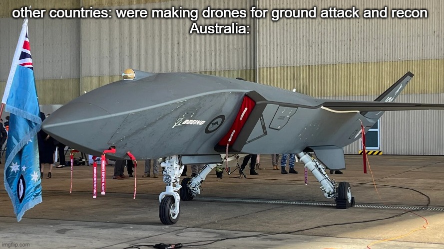 Boeing is making drone fighter jets for the RAAF | other countries: were making drones for ground attack and recon 
Australia: | image tagged in military,boeing,raaf,australia | made w/ Imgflip meme maker