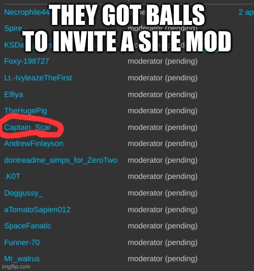 THEY GOT BALLS TO INVITE A SITE MOD | made w/ Imgflip meme maker