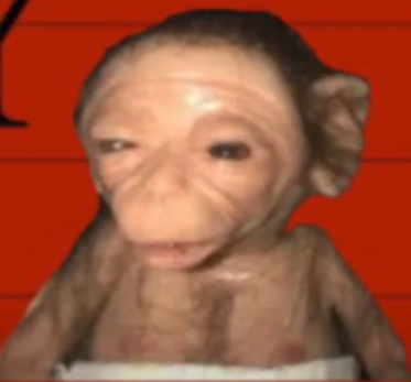 WHAT IS THAT Blank Meme Template