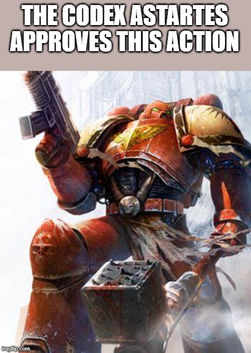 Space Marine | THE CODEX ASTARTES APPROVES THIS ACTION | image tagged in space marine | made w/ Imgflip meme maker