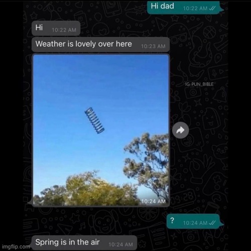 image tagged in puns | made w/ Imgflip meme maker