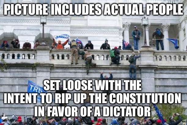 Jan. 6 2021 | PICTURE INCLUDES ACTUAL PEOPLE SET LOOSE WITH THE INTENT TO RIP UP THE CONSTITUTION IN FAVOR OF A DICTATOR | image tagged in jan 6 2021 | made w/ Imgflip meme maker