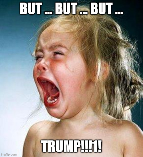 crying girl | BUT ... BUT ... BUT ... TRUMP!!!1! | image tagged in crying girl | made w/ Imgflip meme maker