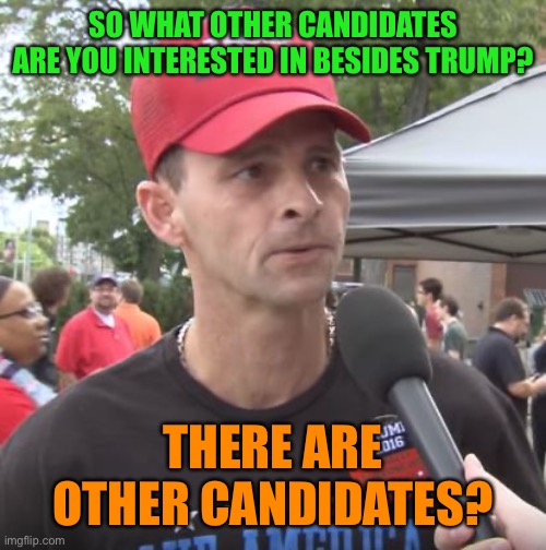 Trump supporter | SO WHAT OTHER CANDIDATES ARE YOU INTERESTED IN BESIDES TRUMP? THERE ARE OTHER CANDIDATES? | image tagged in trump supporter | made w/ Imgflip meme maker