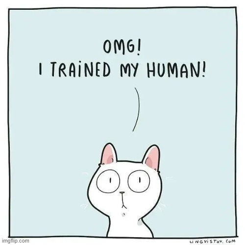 A Cat's Way Of Thinking | image tagged in memes,comics,cats,omg,trains,humans | made w/ Imgflip meme maker