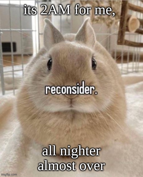 reconsider | its 2AM for me, all nighter almost over | image tagged in reconsider | made w/ Imgflip meme maker