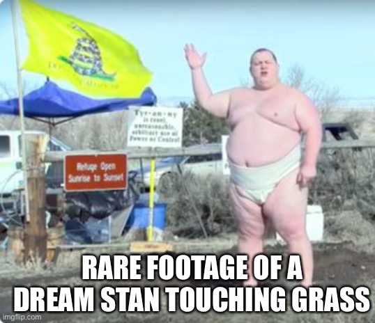 Dream smp slander | RARE FOOTAGE OF A DREAM STAN TOUCHING GRASS | image tagged in overweight occupier | made w/ Imgflip meme maker