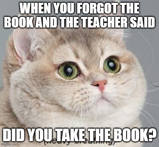 meme lol | WHEN YOU FORGOT THE BOOK AND THE TEACHER SAID; DID YOU TAKE THE BOOK? | image tagged in memes,heavy breathing cat | made w/ Imgflip meme maker