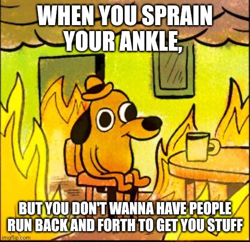 This is fine | WHEN YOU SPRAIN YOUR ANKLE, BUT YOU DON'T WANNA HAVE PEOPLE RUN BACK AND FORTH TO GET YOU STUFF | image tagged in this is fine | made w/ Imgflip meme maker