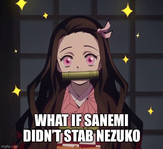 Nezuko Demon Slayer |  WHAT IF SANEMI DIDN’T STAB NEZUKO | image tagged in nezuko demon slayer,demon slayer,questions | made w/ Imgflip meme maker