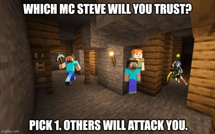 WHICH MC STEVE WILL YOU TRUST? PICK 1. OTHERS WILL ATTACK YOU. | image tagged in memes,email,craft | made w/ Imgflip meme maker