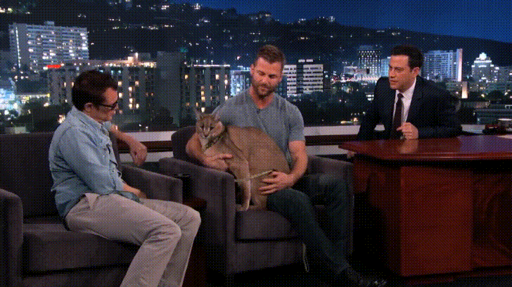 Jimmy Kimmel Live! Caracal Blank Meme Template