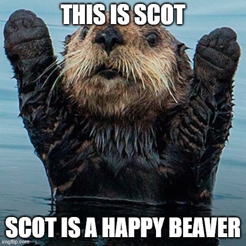 Happy beaver | THIS IS SCOT; SCOT IS A HAPPY BEAVER | image tagged in beaver | made w/ Imgflip meme maker