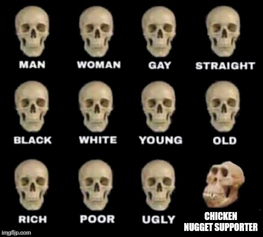 idiot skull | CHICKEN NUGGET SUPPORTER | image tagged in idiot skull | made w/ Imgflip meme maker