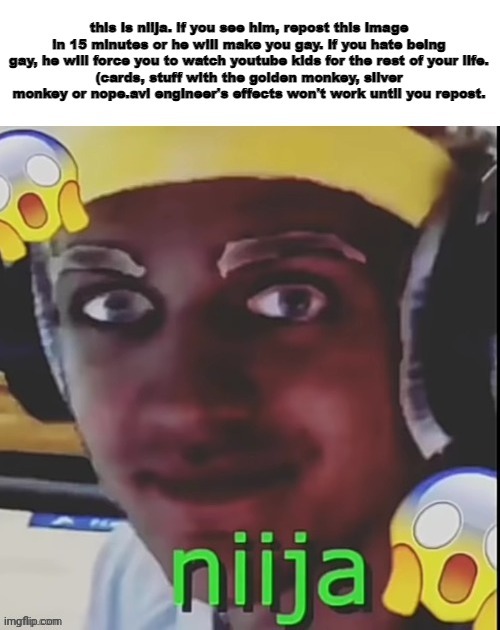 niija repost | image tagged in niija repost | made w/ Imgflip meme maker