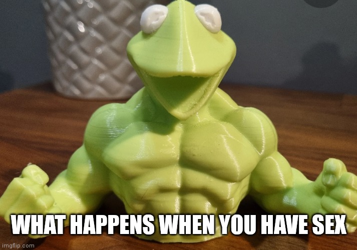 This is what happens to Kermit when he does the dirty | WHAT HAPPENS WHEN YOU HAVE SEX | image tagged in funny memes | made w/ Imgflip meme maker