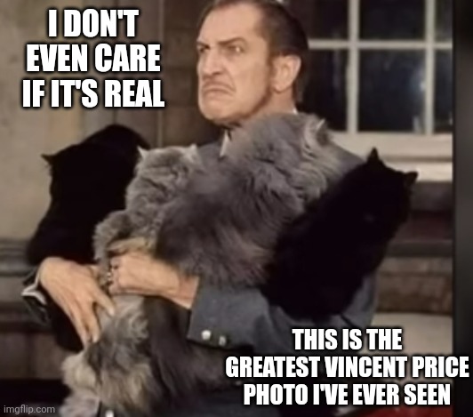 Vincent Price Was A Horror Hero Long Before Thriller | I DON'T EVEN CARE IF IT'S REAL; THIS IS THE GREATEST VINCENT PRICE PHOTO I'VE EVER SEEN | image tagged in memes,vincent price,horror movies,cats,cats or fun,kunundrum | made w/ Imgflip meme maker