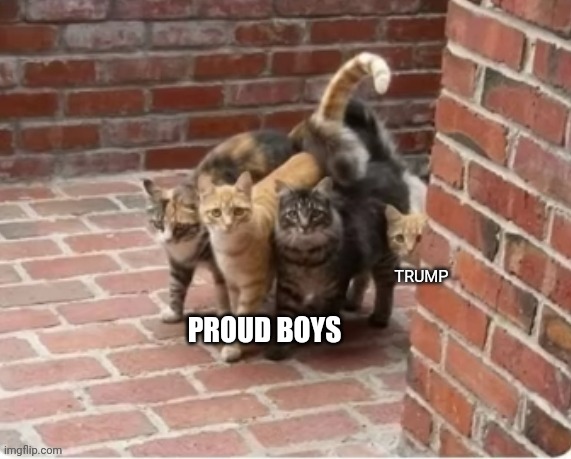 It Speaks For Itself | TRUMP; PROUD BOYS | made w/ Imgflip meme maker