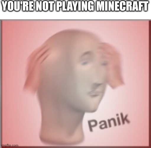 YOU'RE NOT PLAYING MINECRAFT | made w/ Imgflip meme maker