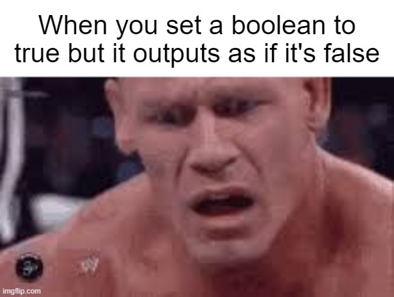 programming meme | When you set a boolean to true but it outputs as if it's false | image tagged in john cena sad / confused,memes,programming | made w/ Imgflip meme maker