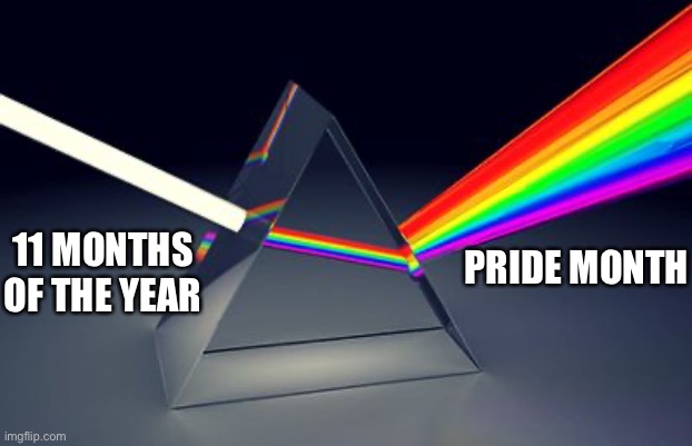 Pride month LGBTIAQQ meme | PRIDE MONTH; 11 MONTHS
OF THE YEAR | image tagged in rainbow prism,gay pride,pride month,lgbtq,lgbt | made w/ Imgflip meme maker