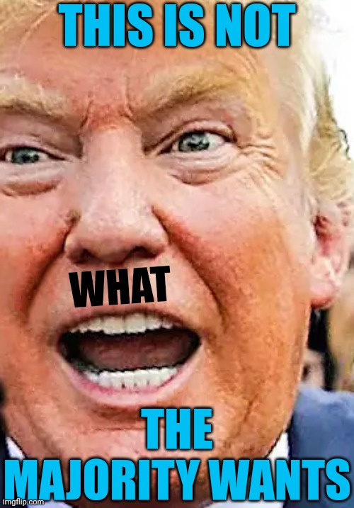 Ad Nauseam | THIS IS NOT; WHAT; THE MAJORITY WANTS | image tagged in memes,cheater,loser,liar,pathetic,lock him up | made w/ Imgflip meme maker