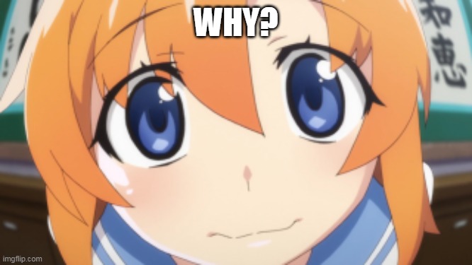 Higurashi/When they Cry Rena | WHY? | image tagged in higurashi/when they cry rena | made w/ Imgflip meme maker