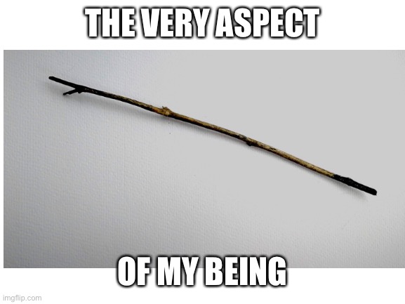 THE VERY ASPECT OF MY BEING | made w/ Imgflip meme maker